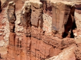 Moab-White Rim 4-08 060